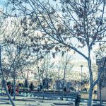 Islamic Azad University Isfahan (Khorasgan)