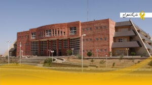 جامعة تبريز